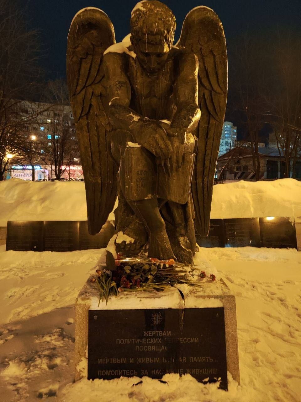 Image from gallery