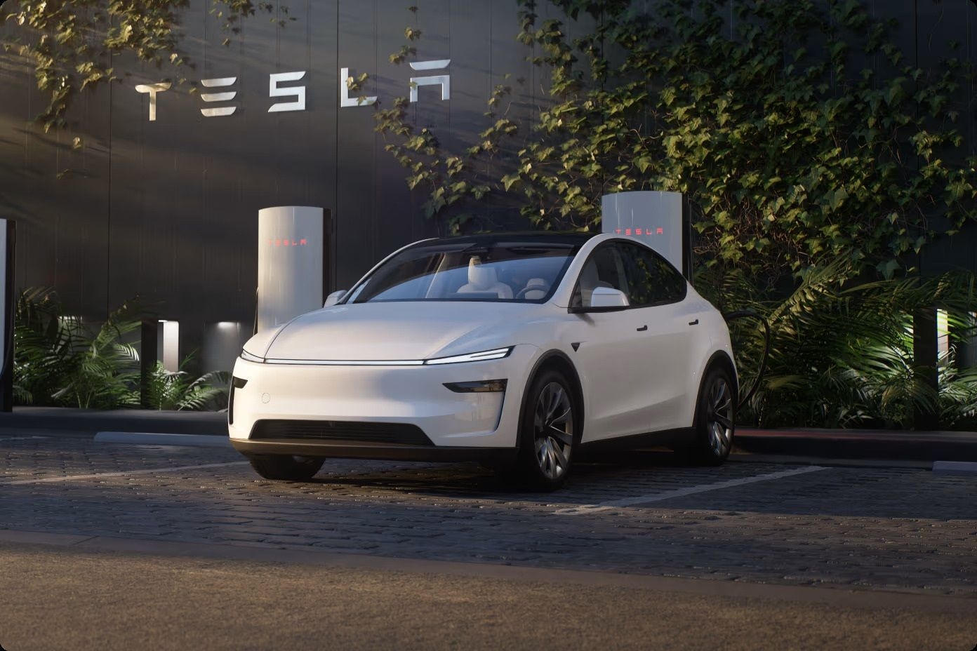 Model Y